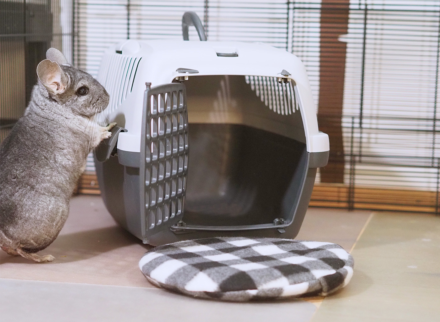 Chinchidorf-Chinchilla-Peanut-TRIXIE-Transportbox-Waermekissen