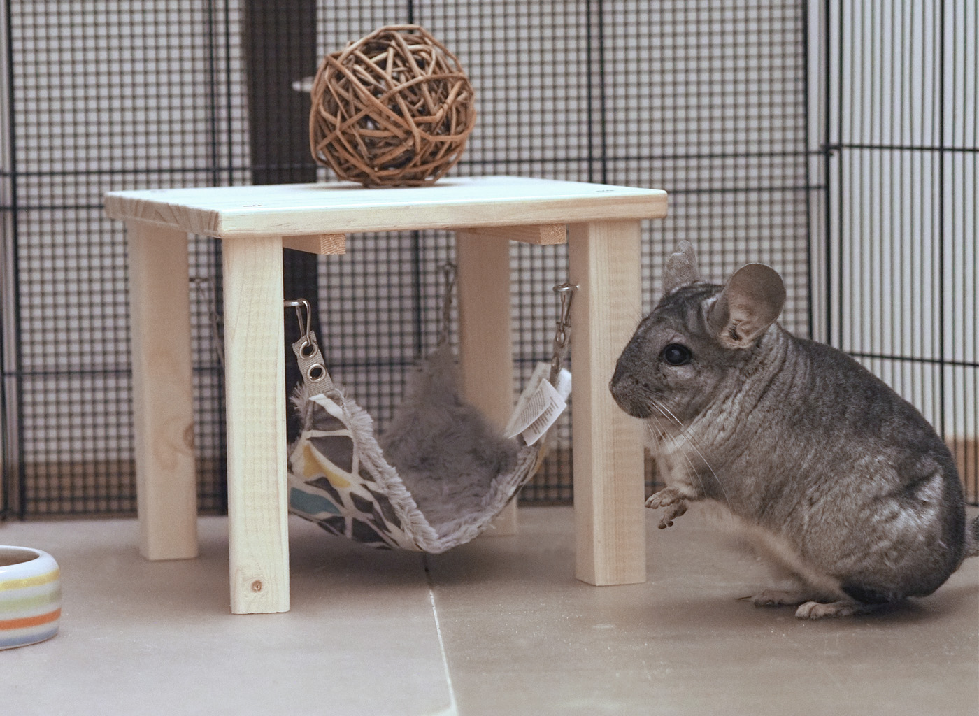 Chinchidorf-Chinchilla-Peanut-TRIXIE-Unterstand-Haengematte