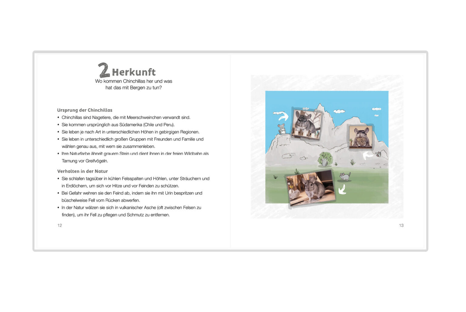 Chinchidorf-Buch-Flauschwissen-ueber-Chinchillas-Franziska-Barnert-Buch-Herkunft