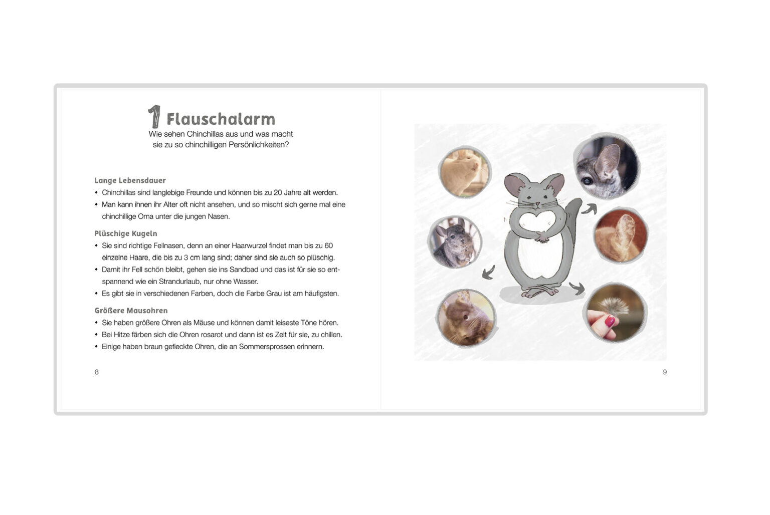 Chinchidorf-Buch-Flauschwissen-ueber-Chinchillas-Franziska-Barnert-Buch-innenseite-Flauschalarm
