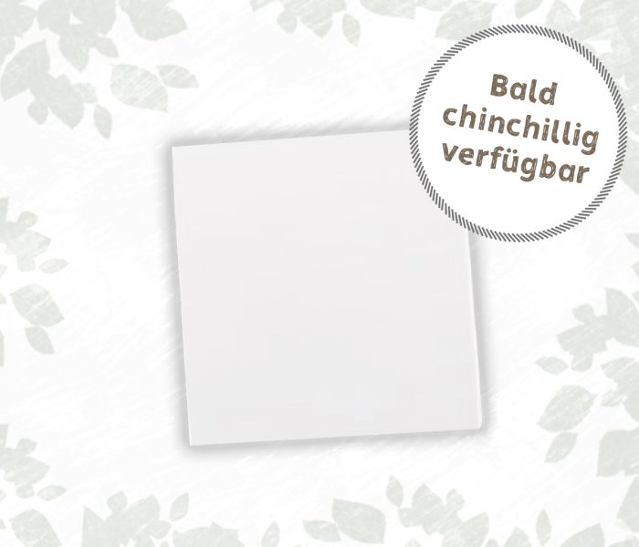 Chinchidorf-Chinchilla-Flauschwissen-ueber-Chinchillas-Franziska-Barnert