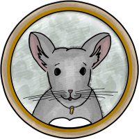 Chinchidorf-Chinchilla-Peanut-1