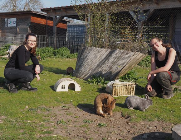 Chinchidorf-Chinchilla-Uebergabe-Trixie-Kruemelhof-4